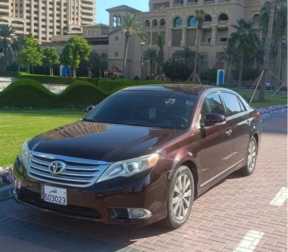 Avalon Limited 2012