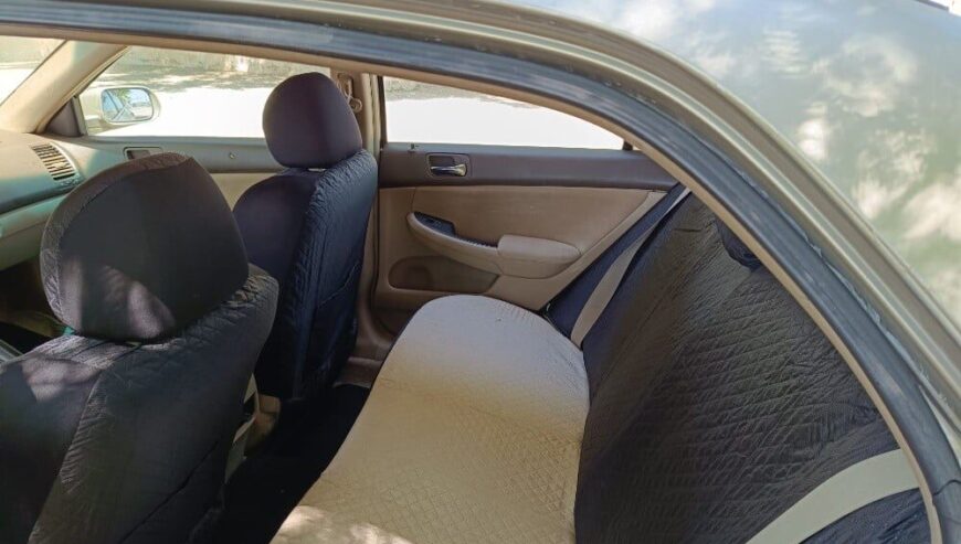honda Accord