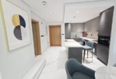 New furnished apartment for rent