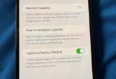 iPhone 13 Pro Max 512GB