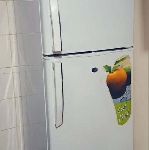 medium fridge