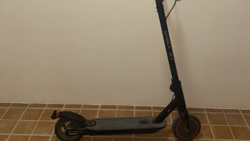Electric Scooter 42V