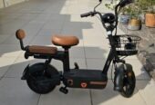 Electric Scooter- Powerful, Efficient