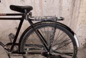 Cycle