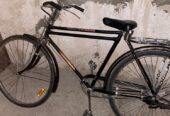 Cycle