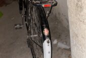 Cycle