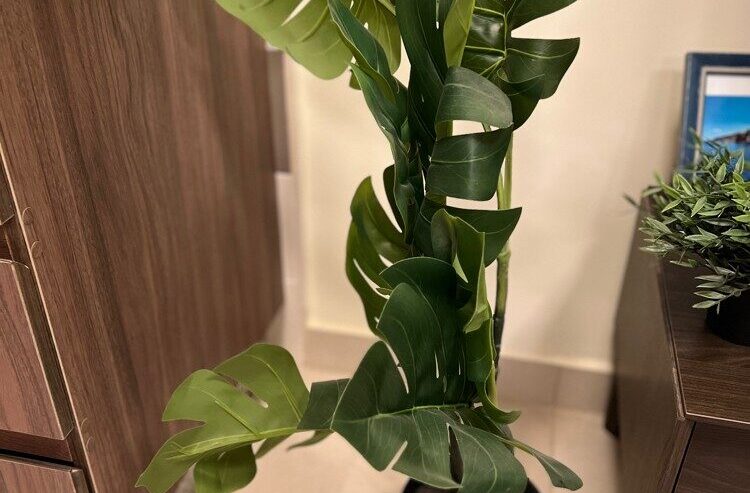 Home Items