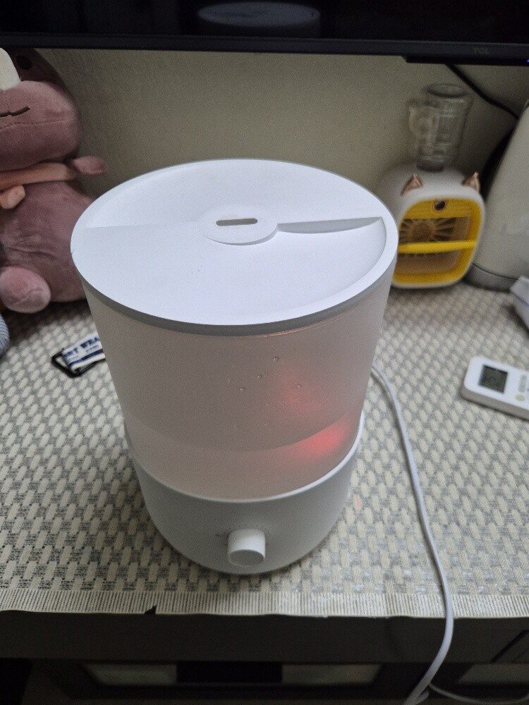 Home Center Humidifier