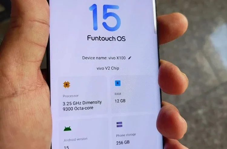 VIVO X100 GLOBAL (no exchange)