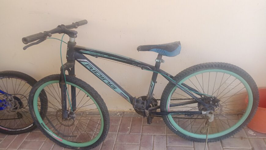 Centrino bicycle