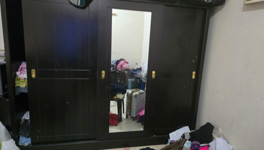 3 Door Mirror Fixed Storage