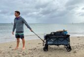 Green Lion Foldable Wagon Cart