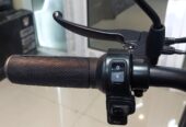 Electric scooter DS-TK دراجة كهربائية