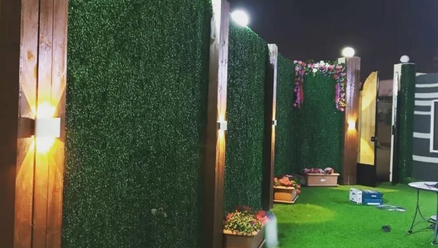 Curtain, , roller blind,carpet wallpaper,  grass,