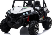 Big Toy Car 2 Seaters