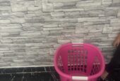 Laudry Basket