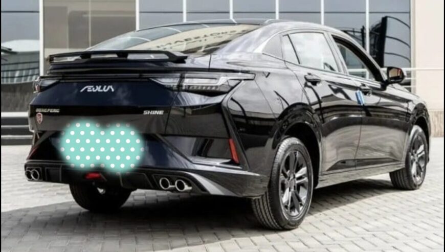 DONGFENG SHINE 2024 FULL OPTION