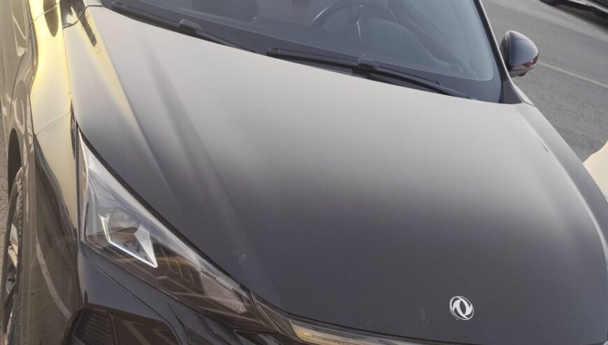 DONGFENG SHINE 2024 FULL OPTION
