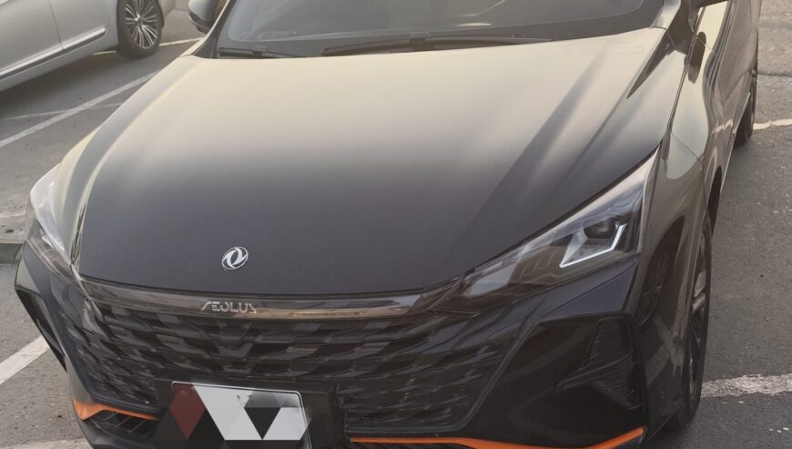 DONGFENG SHINE 2024 FULL OPTION