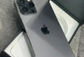 iPhone 13 Pro Max 256 GB (Black)