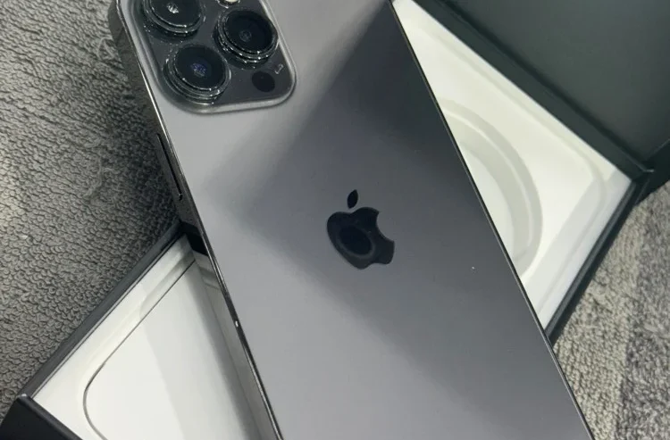 iPhone 13 Pro Max 256 GB (Black)