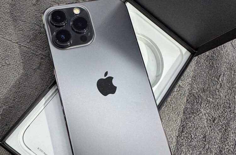 iPhone 13 Pro Max 256 GB (Black)