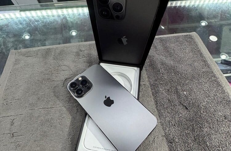 iPhone 13 Pro Max 256 GB (Black)