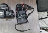 Canon M50 Mark ii (mirrorless)
