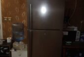 Executive Bachelor Looking to Share Room