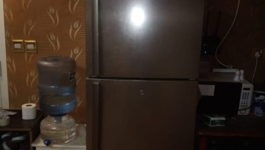 Executive Bachelor Looking to Share Room