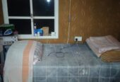 Executive Bachelor Looking to Share Room