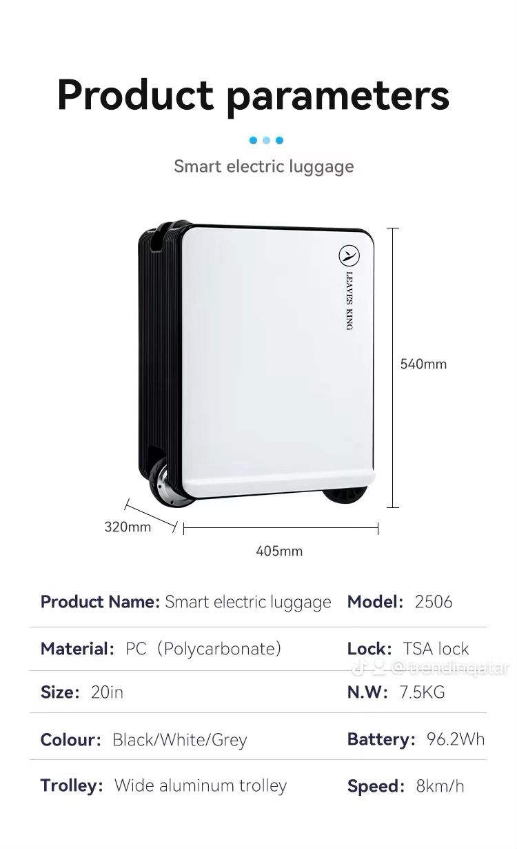 Smart Electric Luggage