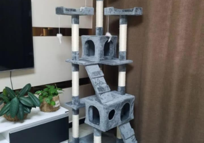 5233f051-079b-4483-beb0-39d34aba2338