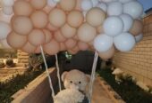 Facepaint & baloon decoration