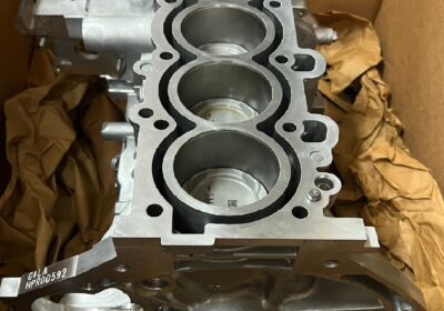 WhatsApp-Image-2026-02-08-at-11.44.20-AM-1