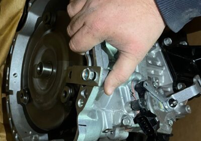 WhatsApp-Image-2026-02-08-at-3.15.38-PM-1