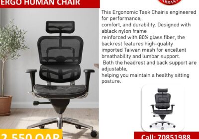 Ergohuman-Chair